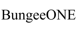 BUNGEEONE