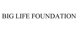 BIG LIFE FOUNDATION