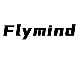 FLYMIND