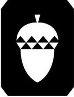 97334532