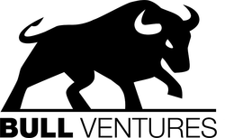 BULL VENTURES
