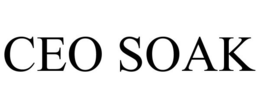 CEO SOAK