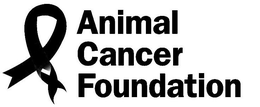 ANIMAL CANCER FOUNDATION