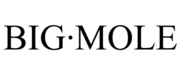 BIG·MOLE