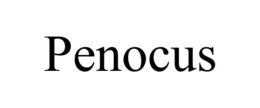 PENOCUS