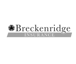 BRECKENRIDGE INSURANCE