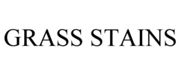 GRASS STAINS