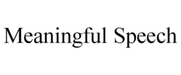 MEANINGFUL SPEECH