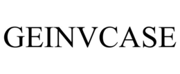 GEINVCASE