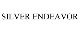 SILVER ENDEAVOR