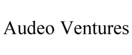 AUDEO VENTURES