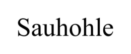 SAUHOHLE