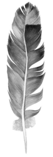 97461326