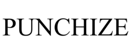 PUNCHIZE
