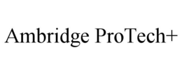 AMBRIDGE PROTECH+