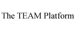 THE TEAM PLATFORM