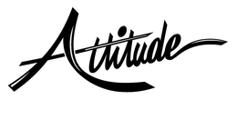 ATTITUDE