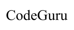 CODEGURU