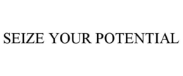 SEIZE YOUR POTENTIAL