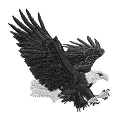 97568916