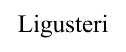 LIGUSTERI
