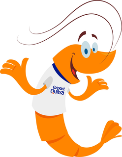 EXPORT QUILSA