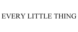 EVERY LITTLE THING