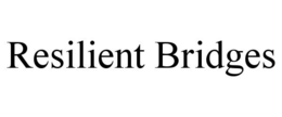RESILIENT BRIDGES