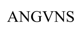 ANGVNS
