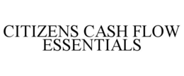 CITIZENS CASH FLOW ESSENTIALS