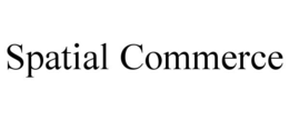 SPATIAL COMMERCE