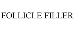 FOLLICLE FILLER