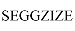 SEGGZIZE