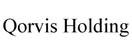 QORVIS HOLDING