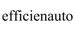 EFFICIENAUTO