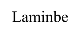 LAMINBE