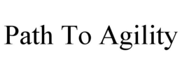 PATH TO AGILITY