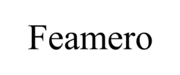 FEAMERO