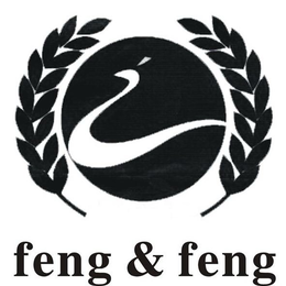 FENG&FENG