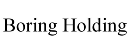 BORING HOLDING