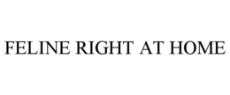 FELINE RIGHT AT HOME