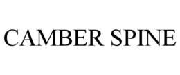 CAMBER SPINE