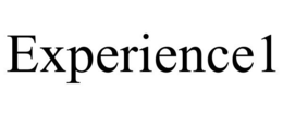 EXPERIENCE1