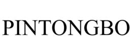 PINTONGBO