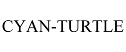 CYAN-TURTLE