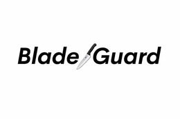 BLADE GUARD