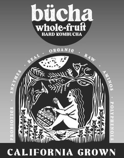 BÜCHA WHOLE FRUIT HARD KOMBUCHA PROBIOTICS · ENZYMES · REAL · ORGANIC · RAW · AMINOS · POLYPHENOLS