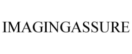 IMAGINGASSURE