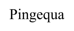 PINGEQUA