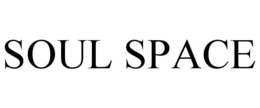 SOUL SPACE